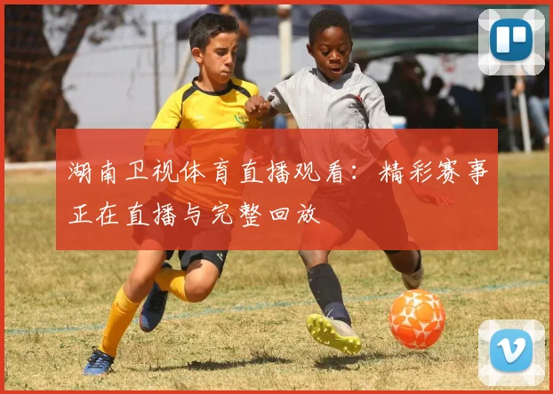 湖南卫视体育直播观看：精彩赛事正在直播与完整回放